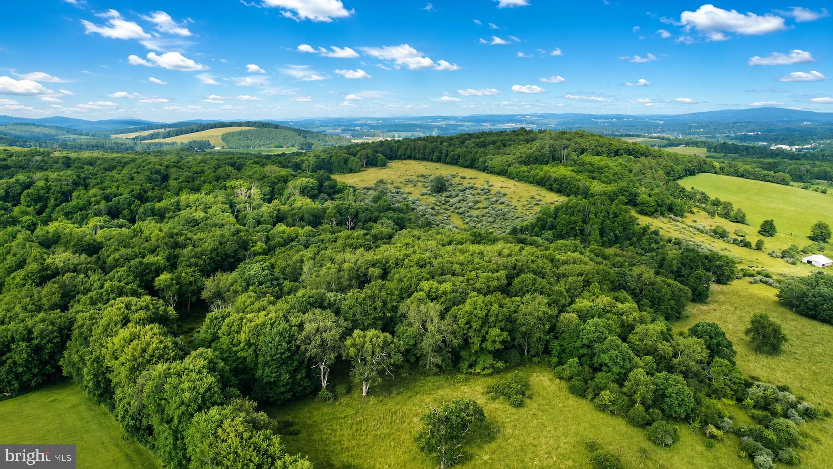 97-acres Lot C 97-acres Road Oakland, MD 21550 - Photo 12 of 21