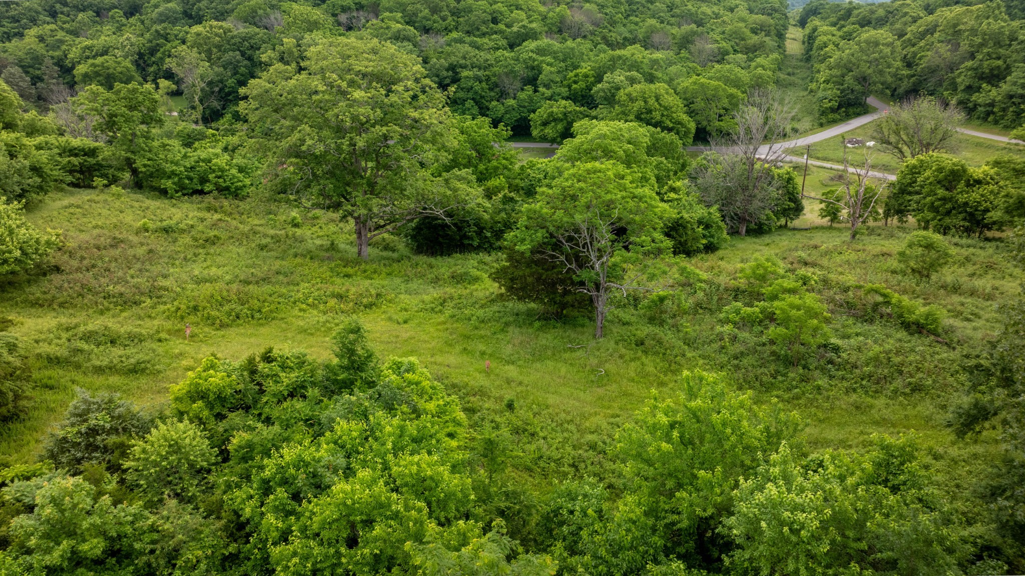 1495 Wolf Hill Road Bethpage, TN 37022 - Photo 12 of 22