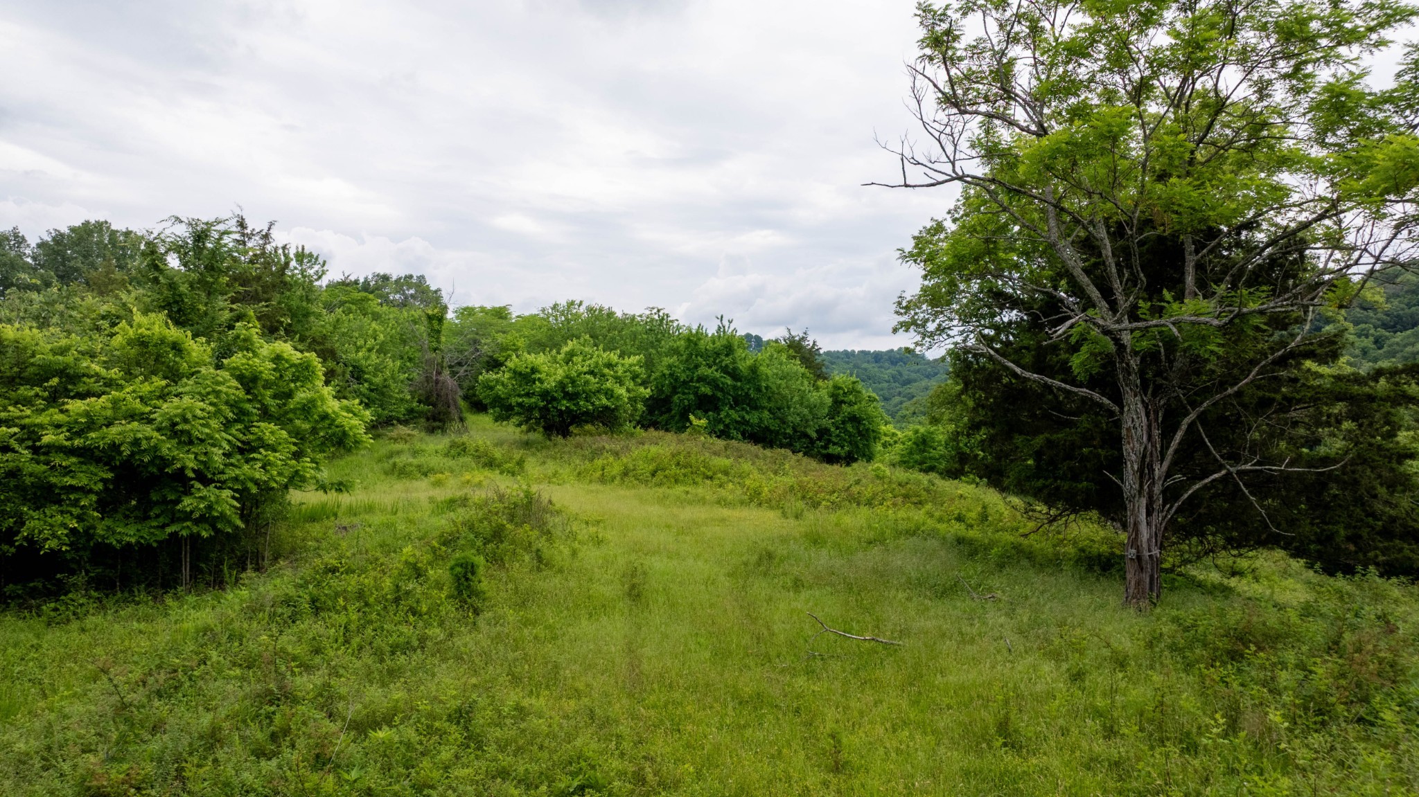 1495 Wolf Hill Road Bethpage, TN 37022 - Photo 13 of 22