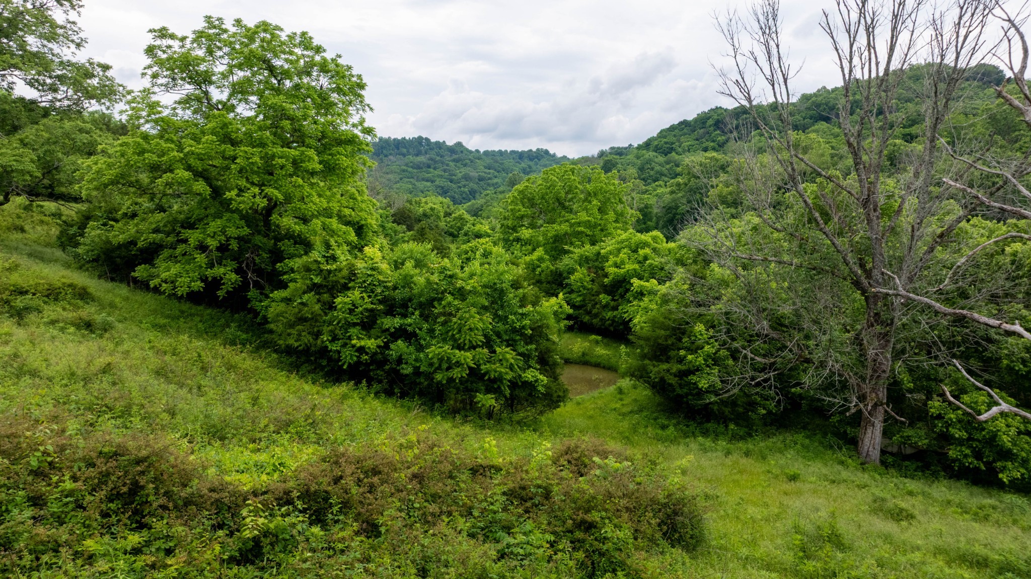1495 Wolf Hill Road Bethpage, TN 37022 - Photo 14 of 22