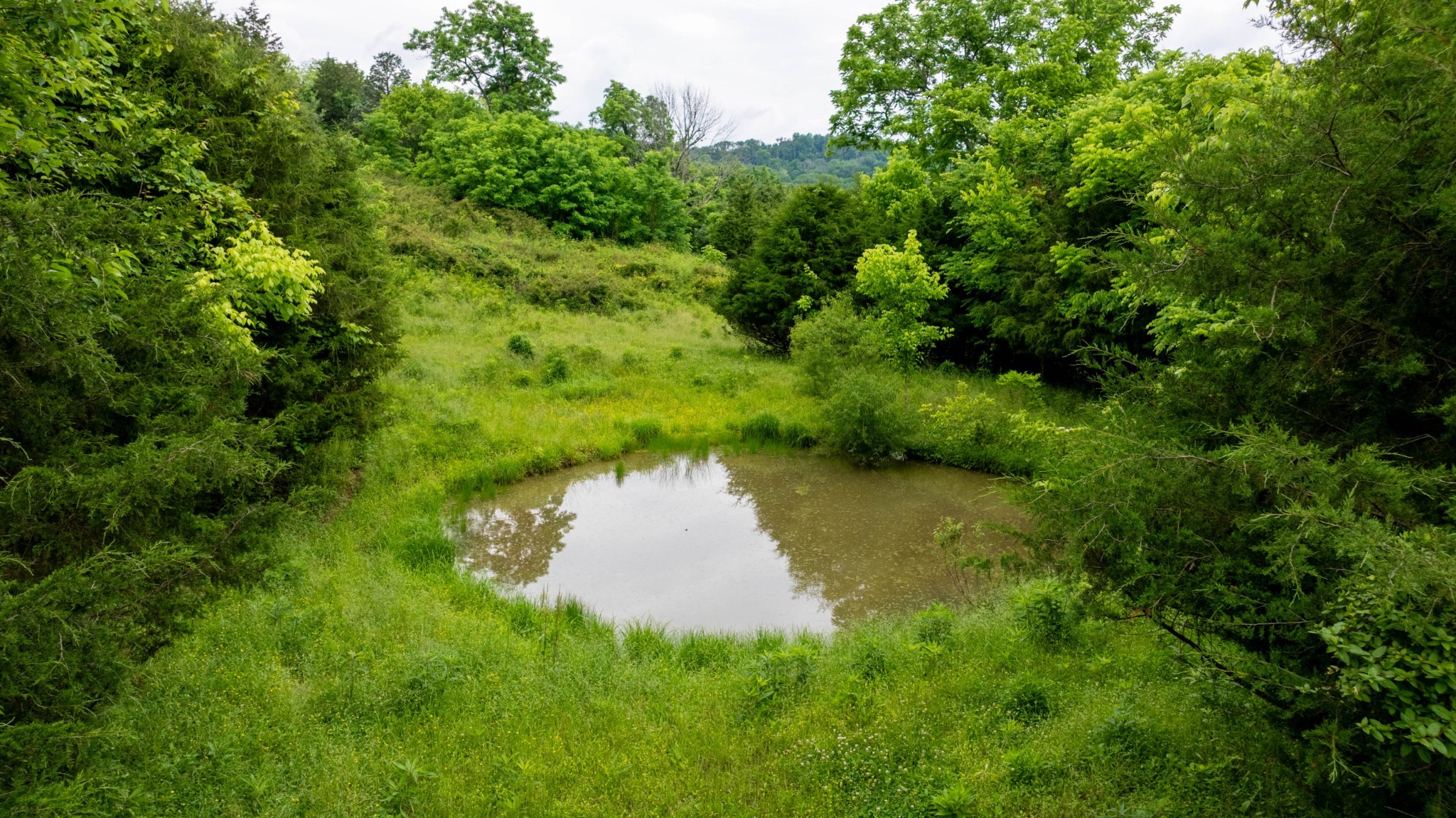 1495 Wolf Hill Road Bethpage, TN 37022 - Photo 15 of 22