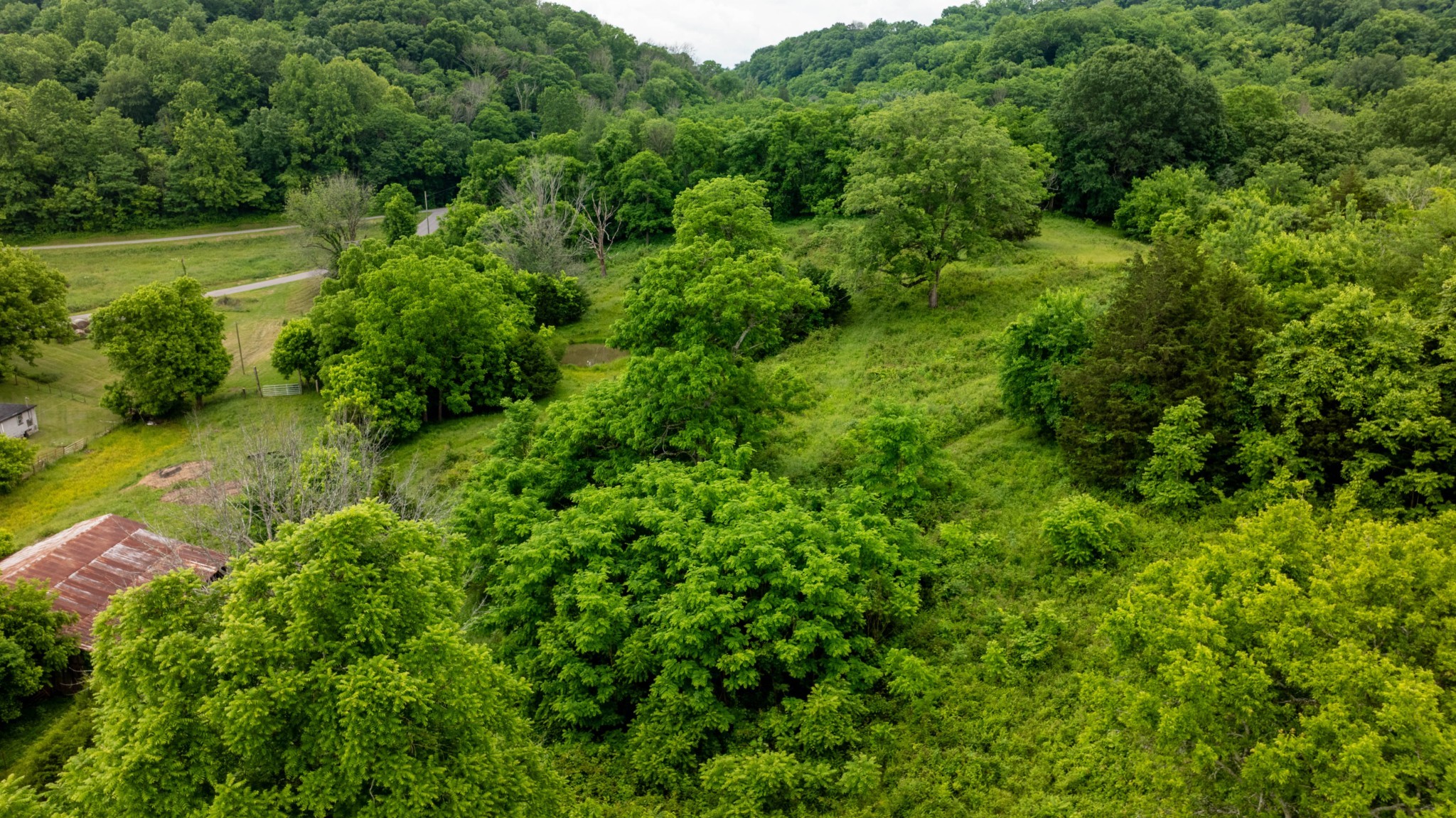 1495 Wolf Hill Road Bethpage, TN 37022 - Photo 16 of 22