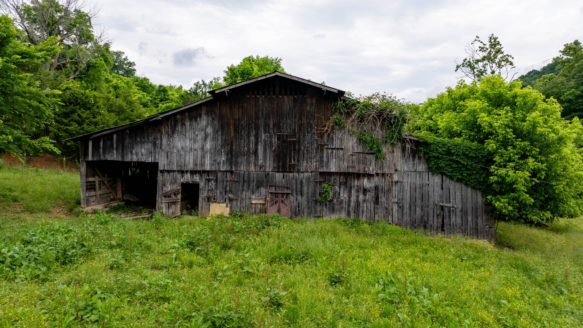 1495 Wolf Hill Road Bethpage, TN 37022 - Photo 17 of 22
