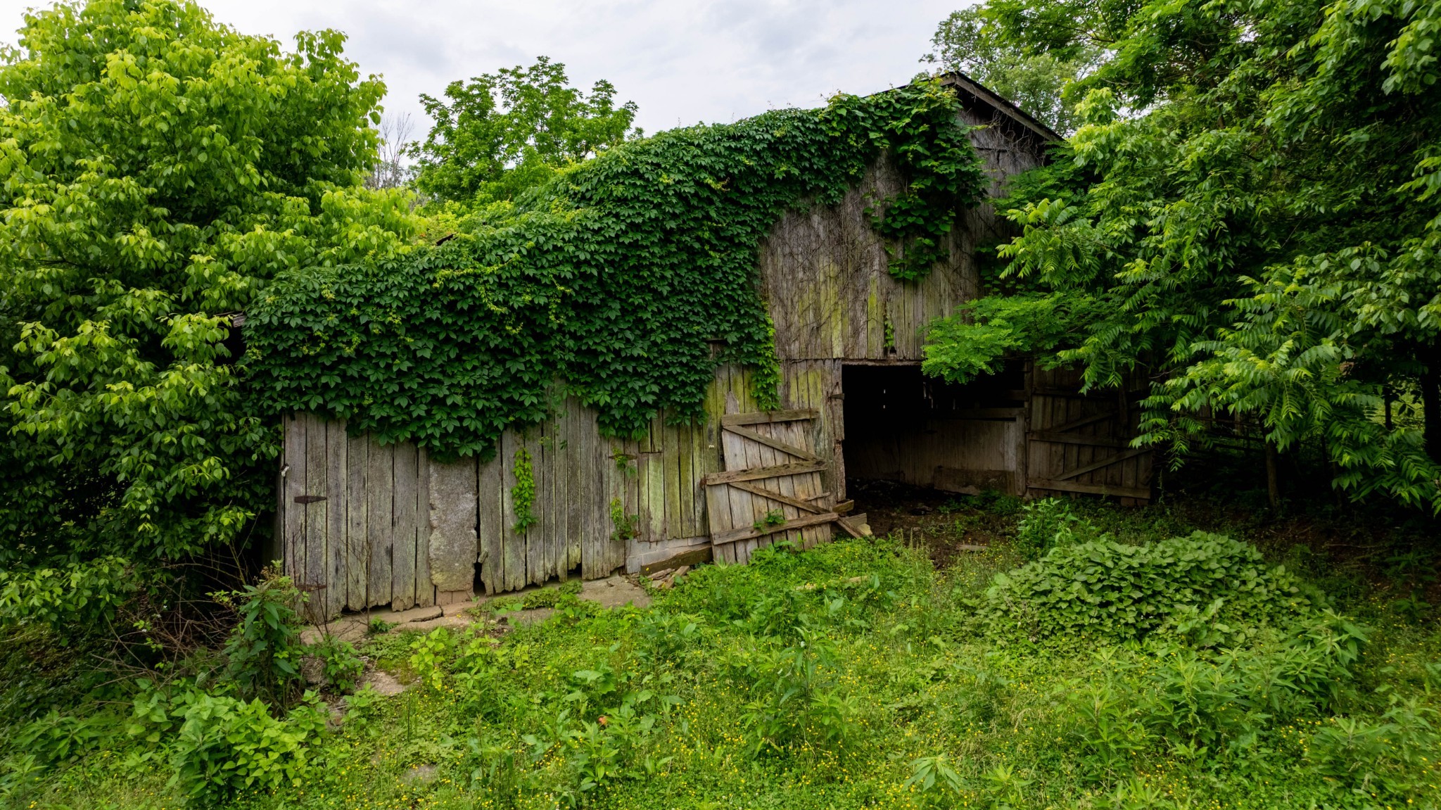 1495 Wolf Hill Road Bethpage, TN 37022 - Photo 2 of 22