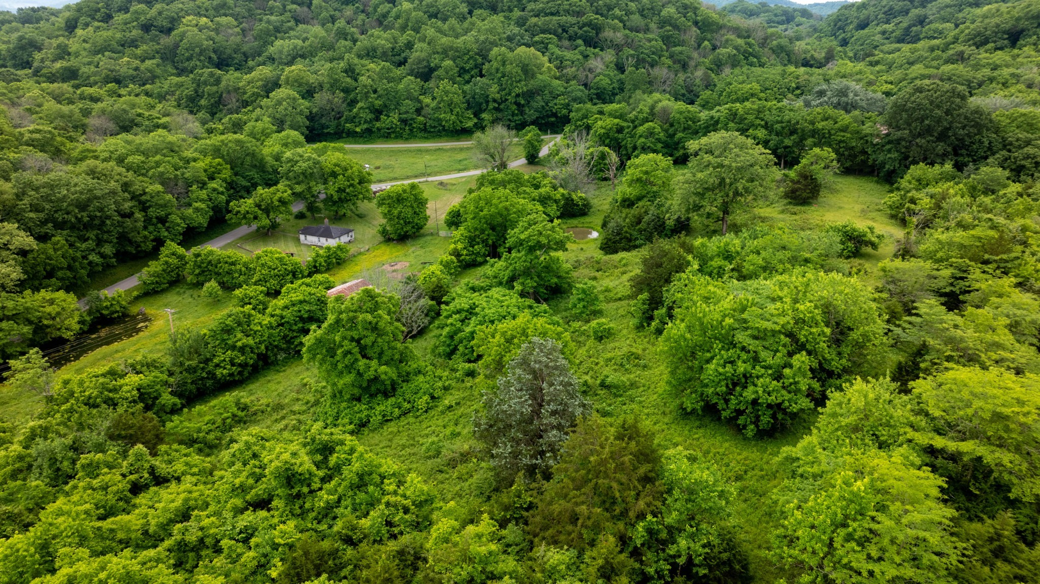 1495 Wolf Hill Road Bethpage, TN 37022 - Photo 10 of 22