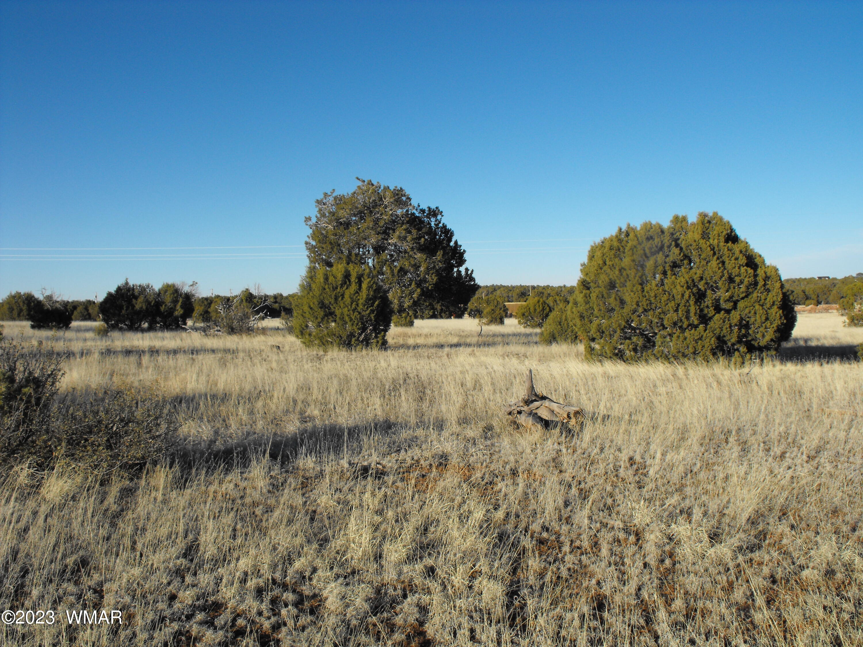 Tbd Lone Pine Dam Road Show Low, AZ 85901 - Photo 4 of 8 Gallery Image 4