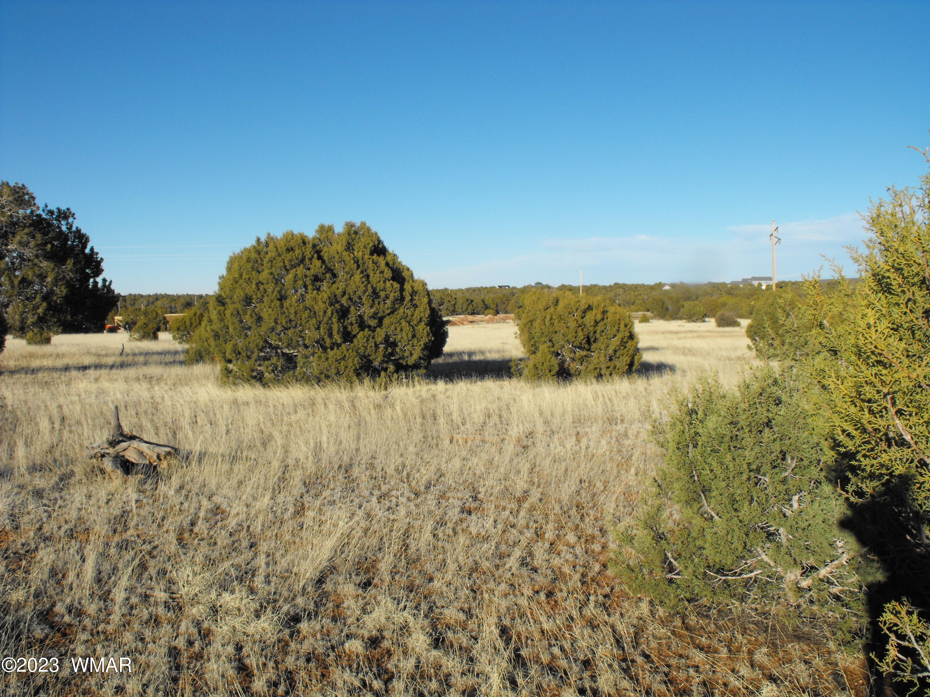Tbd Lone Pine Dam Road Show Low, AZ 85901 - Photo 7 of 8 Gallery Image 7