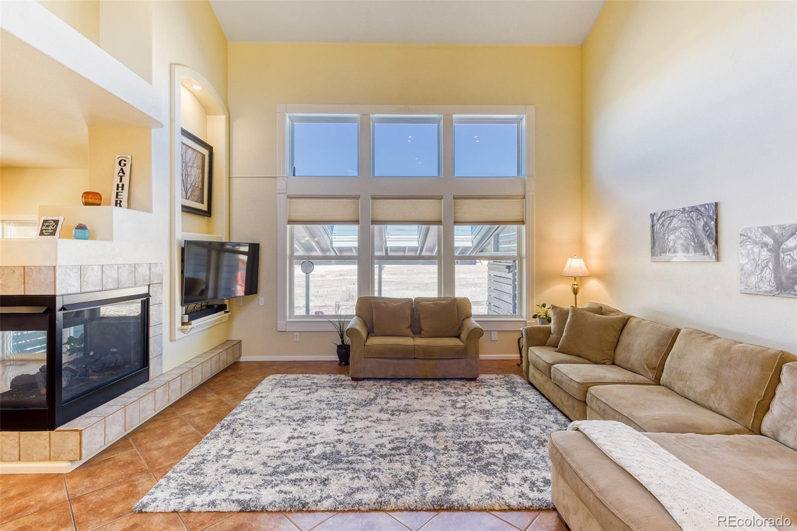 3897 Mallard Lane Highlands Ranch, CO 80126 - Photo 11 of 50 a living room with furniture and a rug