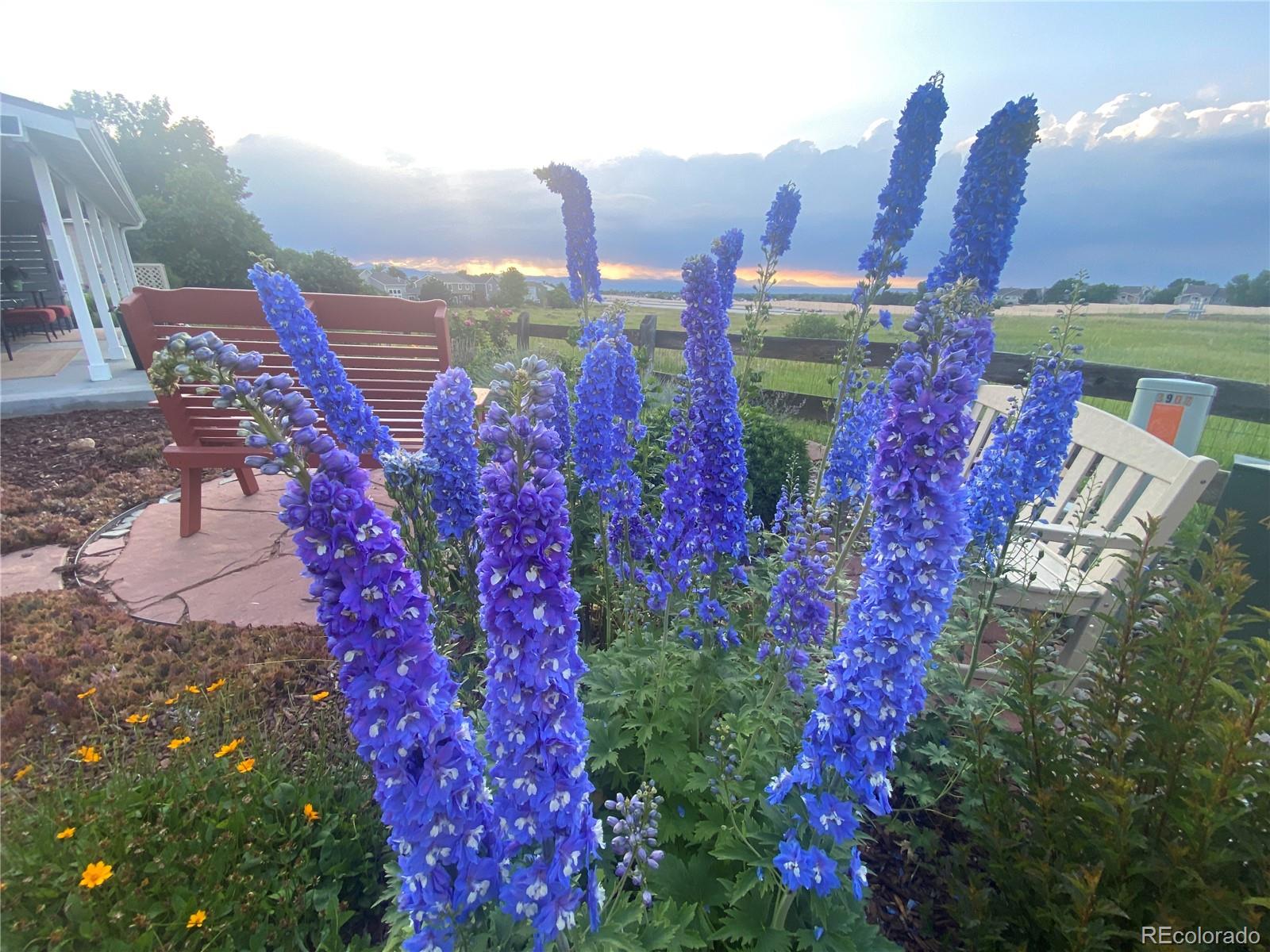 3897 Mallard Lane Highlands Ranch, CO 80126 - Photo 41 of 50