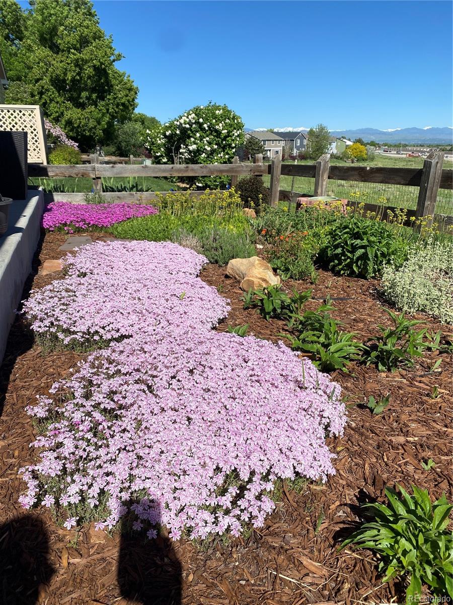 3897 Mallard Lane Highlands Ranch, CO 80126 - Photo 42 of 50 a view of a road with a yard