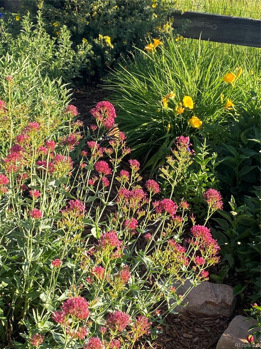 3897 Mallard Lane Highlands Ranch, CO 80126 - Photo 43 of 50