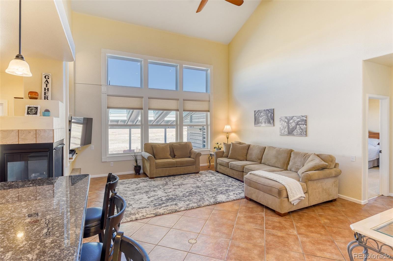 3897 Mallard Lane Highlands Ranch, CO 80126 - Photo 10 of 50 a living room with furniture large window and fireplace