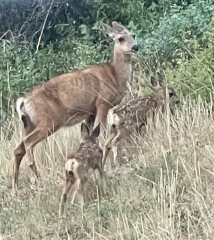 a view of outdoor space