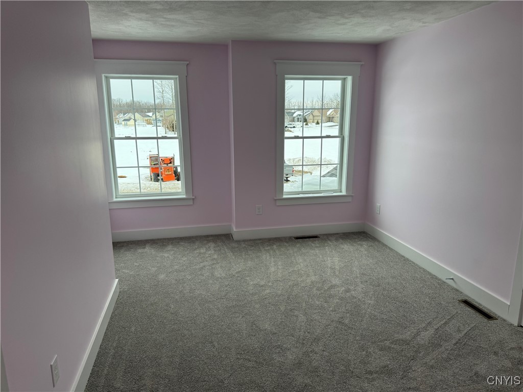 8531 Angus Path Cicero, NY 13039 - Photo 48 of 50