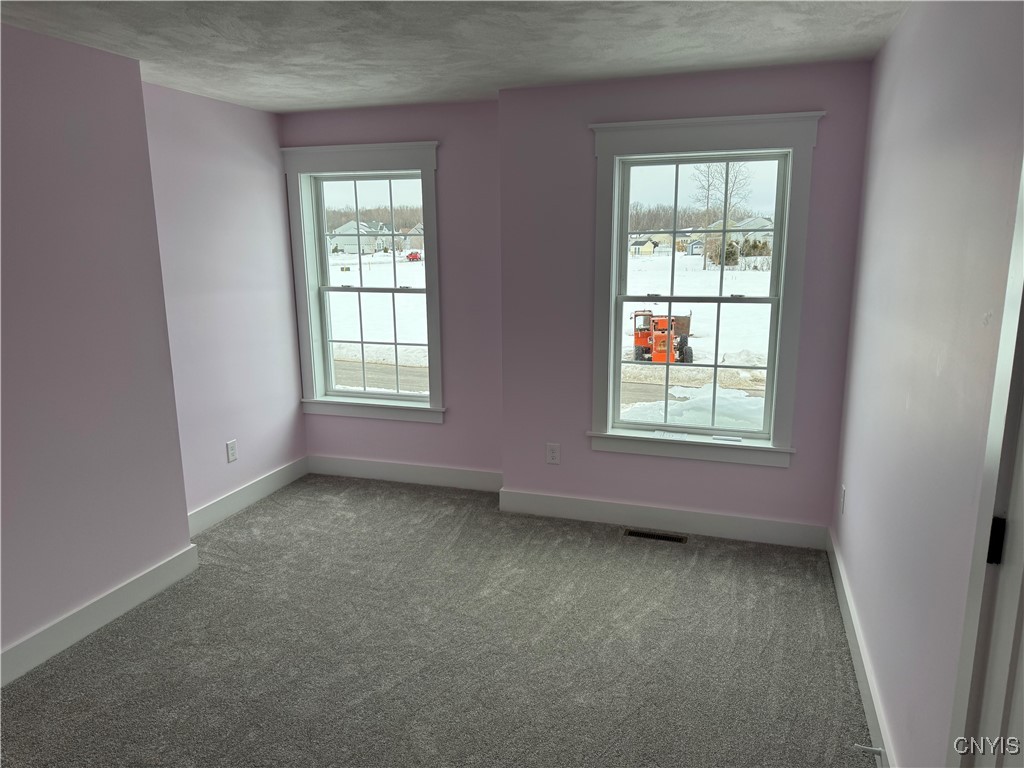 8531 Angus Path Cicero, NY 13039 - Photo 49 of 50