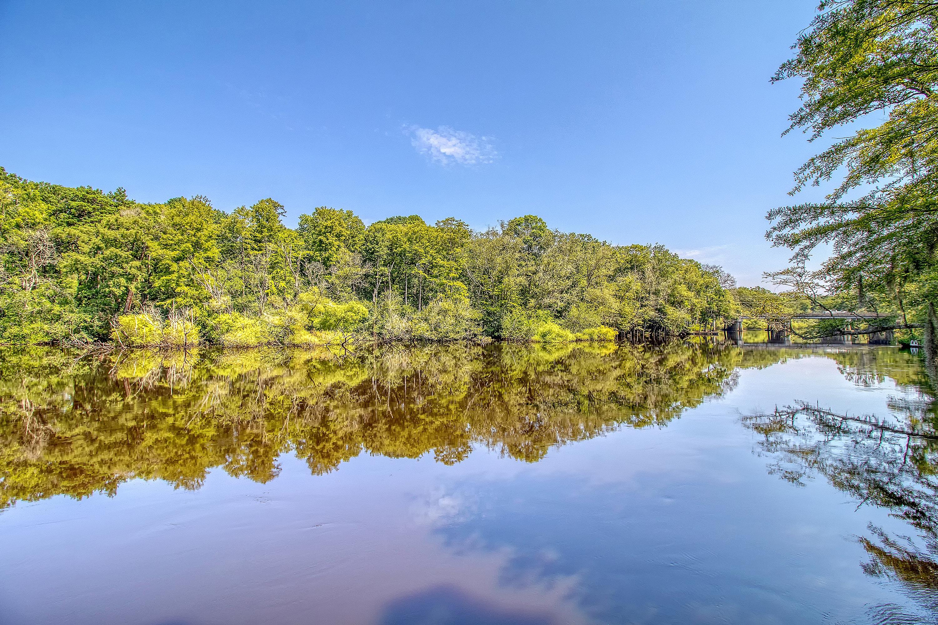 150 Riverbend Lane Ridgeville, SC 29472 - Photo 60 of 77 River View