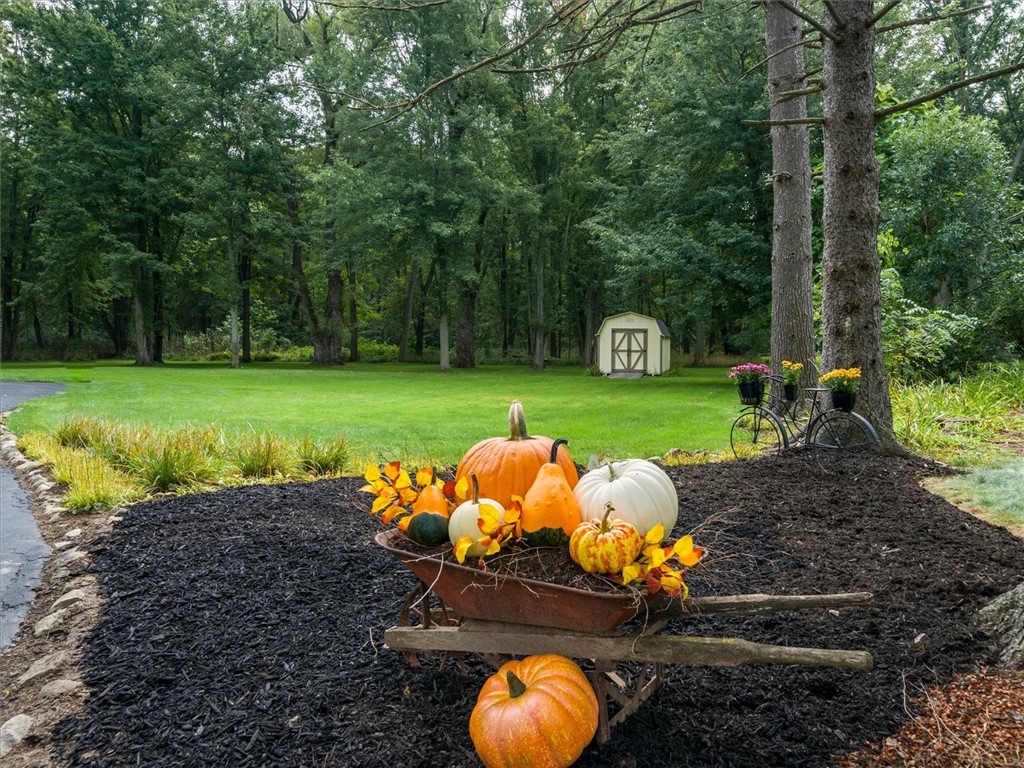 1564 East River Road Brighton, NY 14623 - Photo 46 of 48