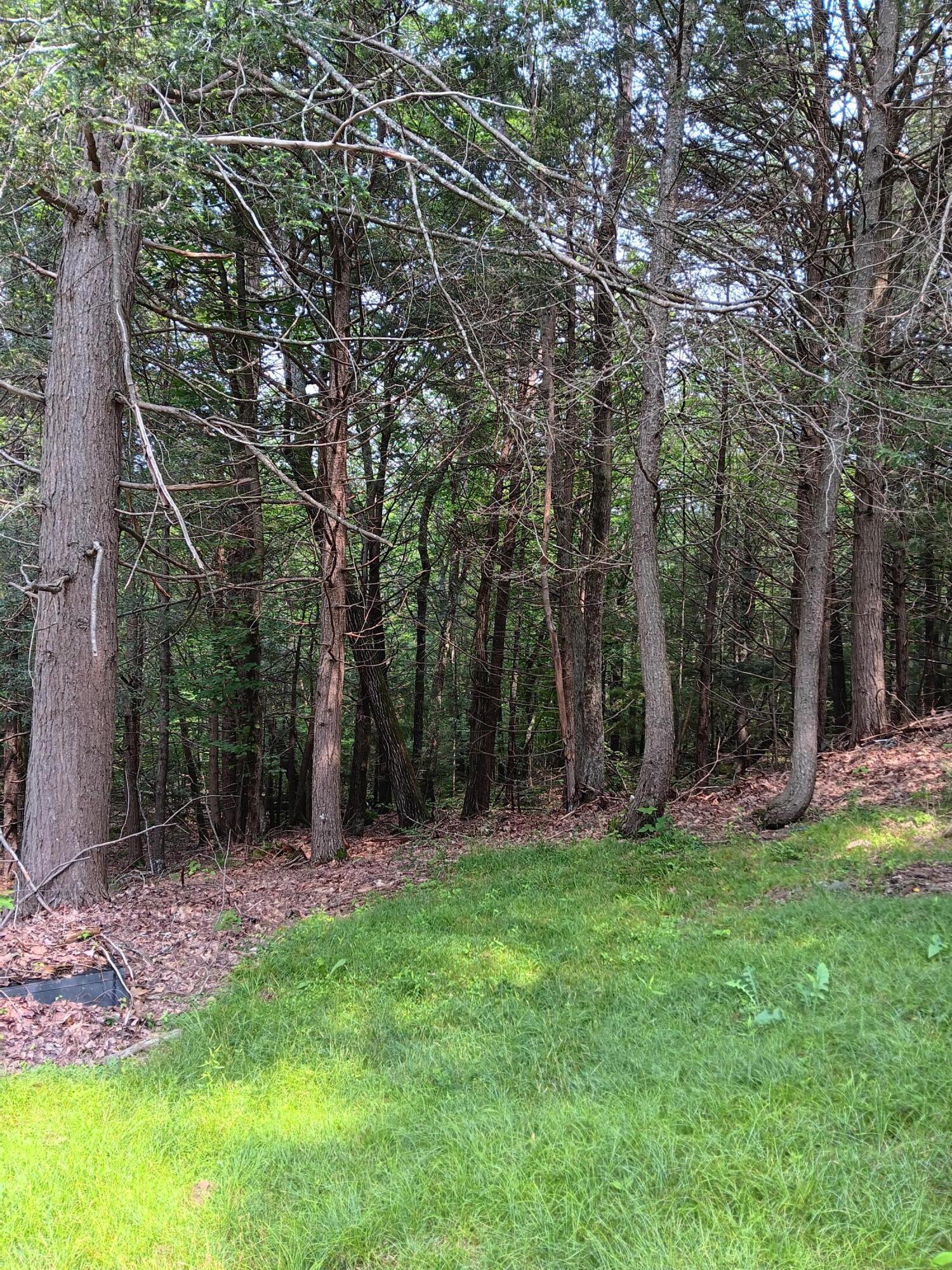 15 Rays Drive Woolwich, ME 04579 - Photo 11 of 34 20230718_113628