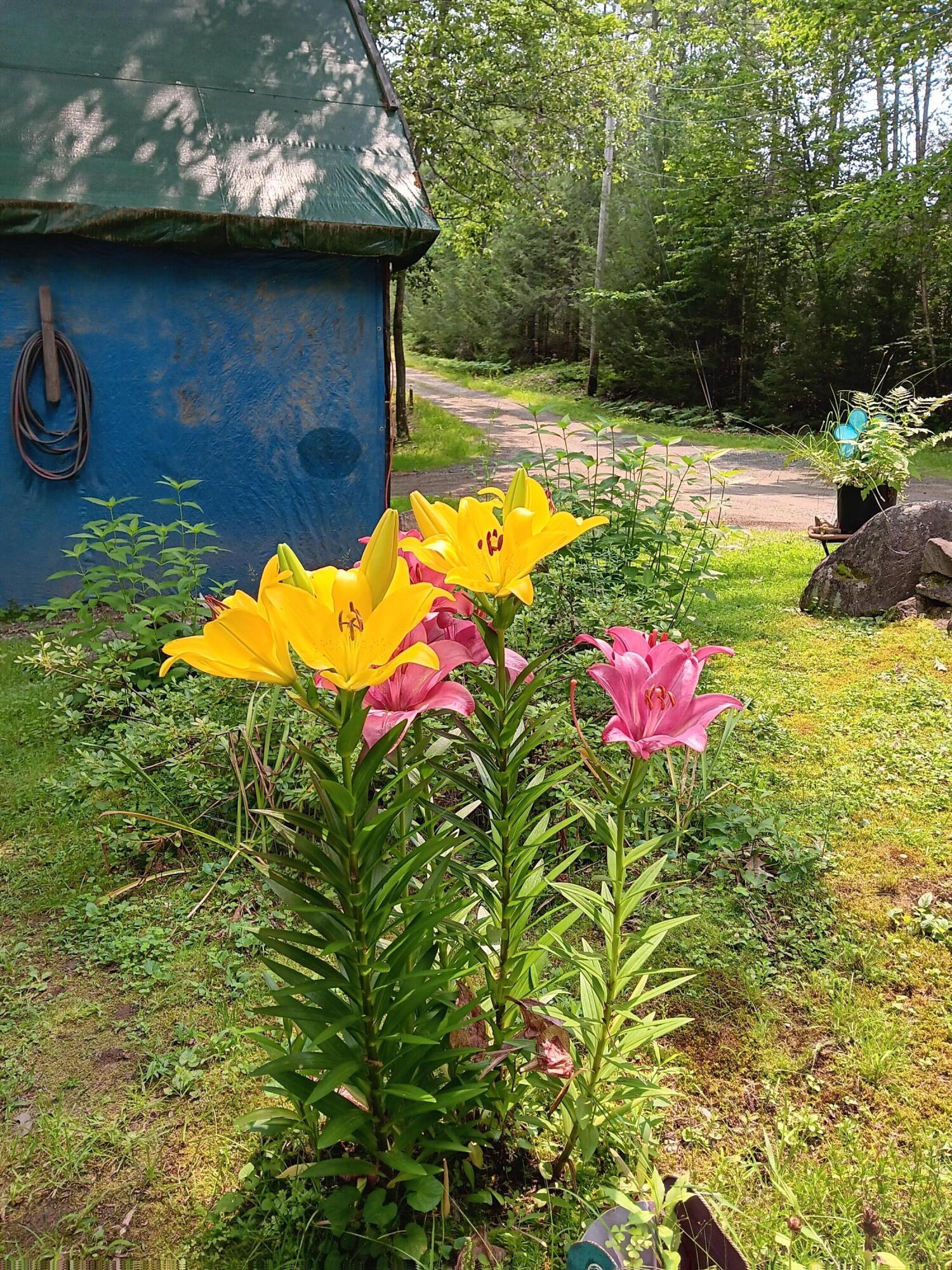 15 Rays Drive Woolwich, ME 04579 - Photo 7 of 34 20230718_112353