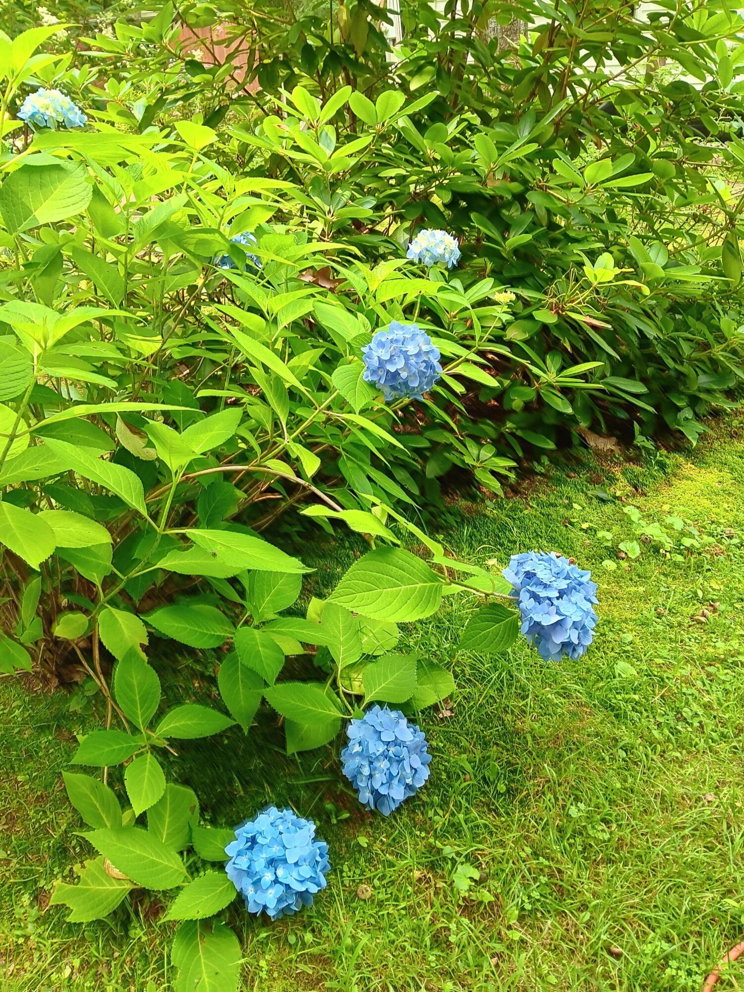 15 Rays Drive Woolwich, ME 04579 - Photo 8 of 34 20230718_113433