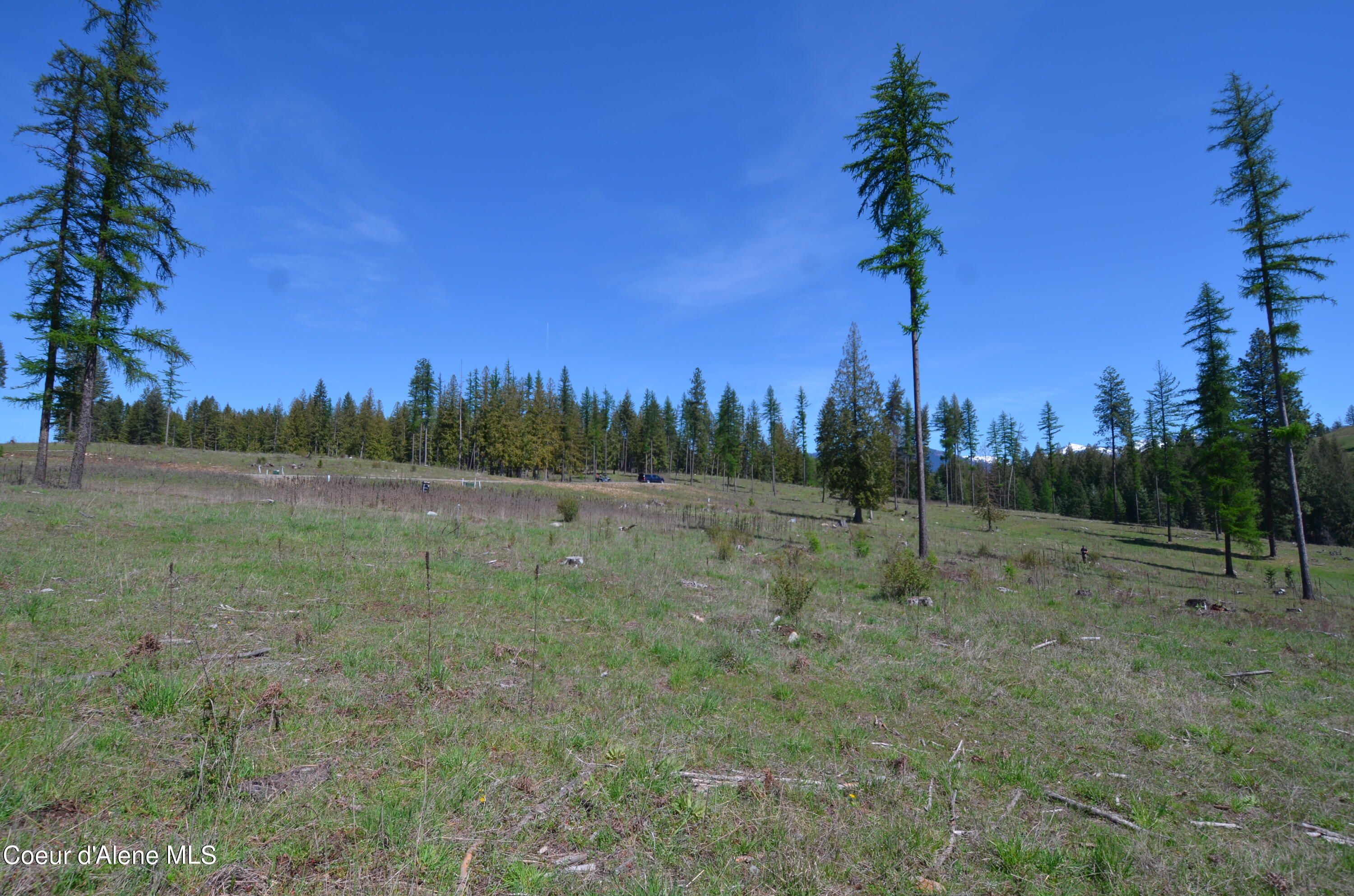 Lot 16 Camp Bay Road Sagle, ID 83860 - Photo 11 of 36 Lot 16 Camp Bay