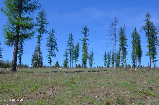 $850,000 | Lot 16 Camp Bay Road, Sagle, ID 83860