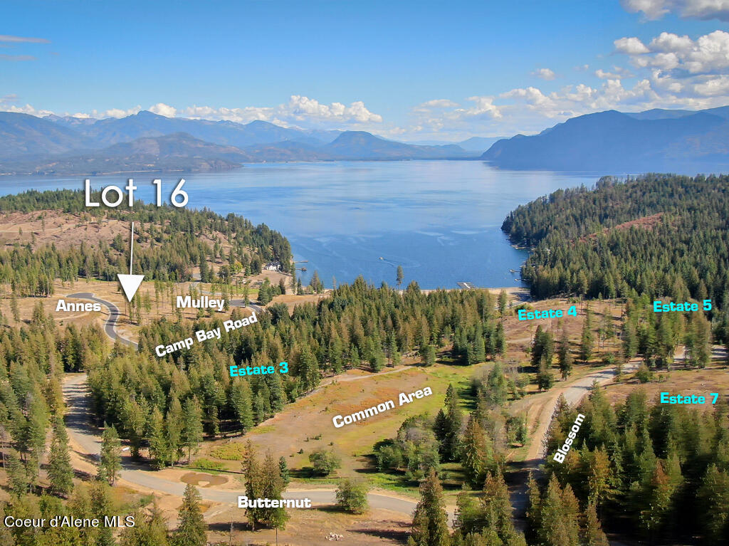 Lot 16 Camp Bay Road Sagle, ID 83860 - Photo 18 of 36 Estate Lot Area - (2)