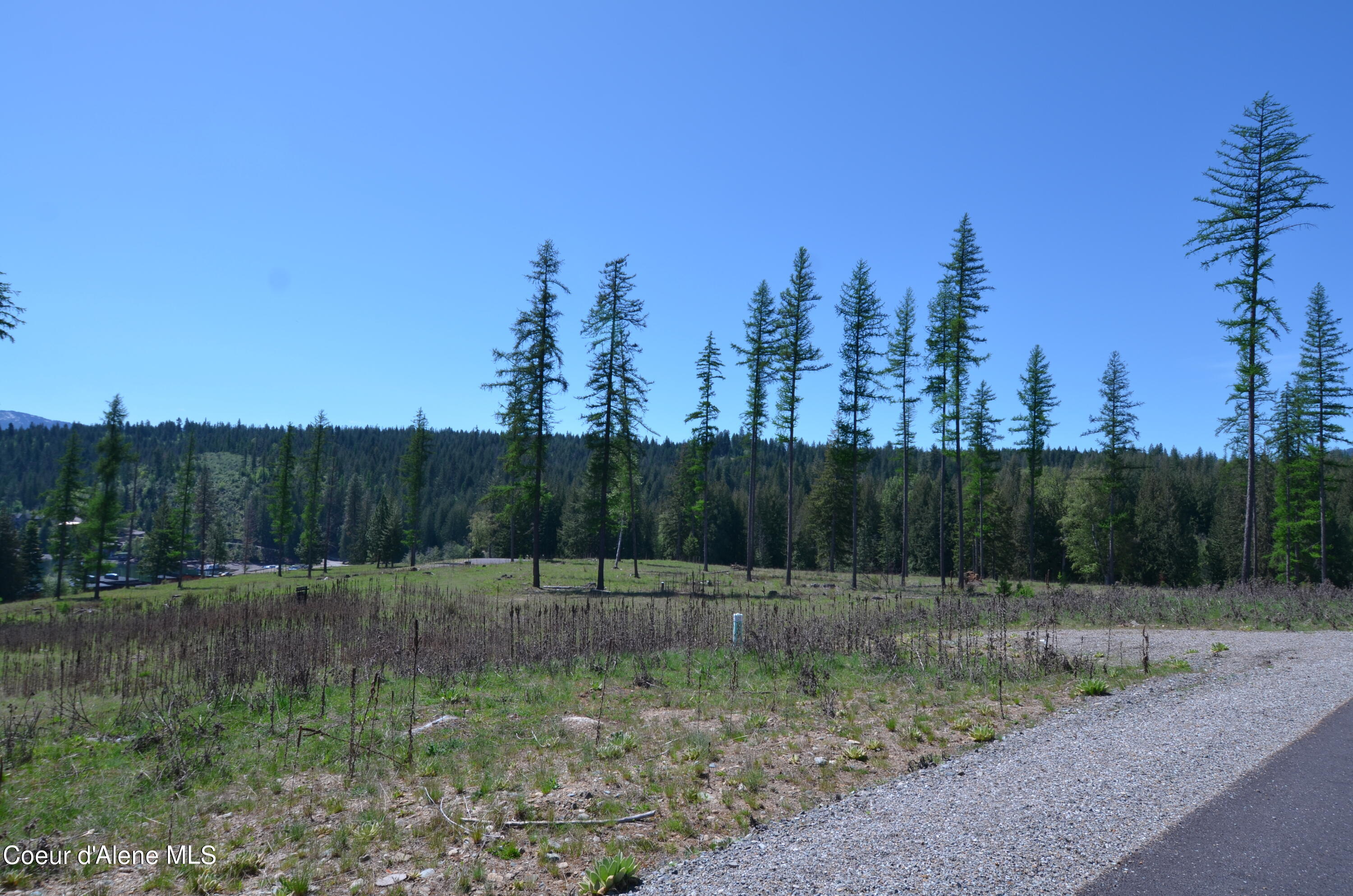 Lot 16 Camp Bay Road Sagle, ID 83860 - Photo 9 of 36 Lot 16 Camp Bay