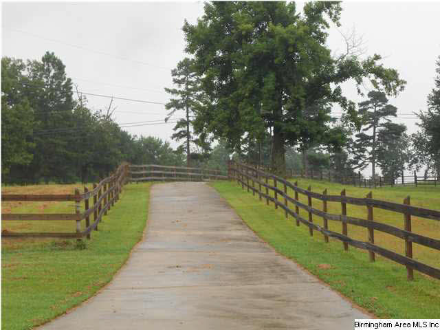 7015 Co Highway 24 Oneonta, AL 35121 - Photo 26 of 30