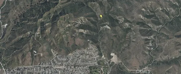 a close up of a tree