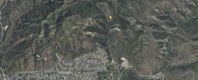 a close up of a tree