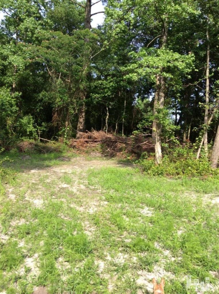7801 Slocum Trail Atkinson, NC 28421 - Photo 7 of 30 Additional Photo
