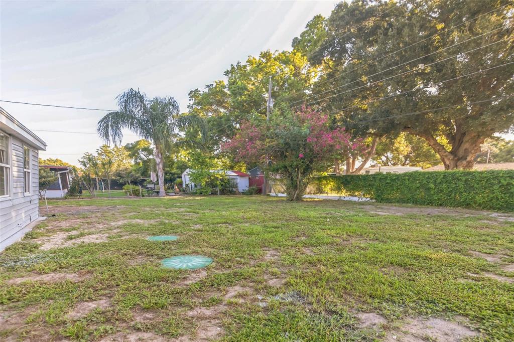 4554 Nimmer Drive New Port Richey, FL 34652 - Photo 16 of 19