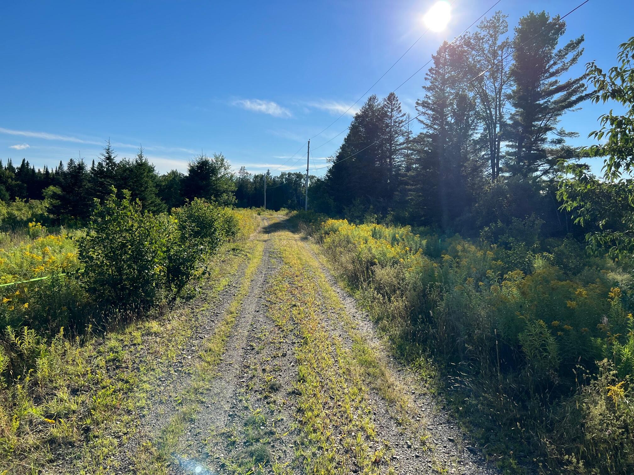 201 Map Road Dexter, ME 04930 - Photo 3 of 7 3
