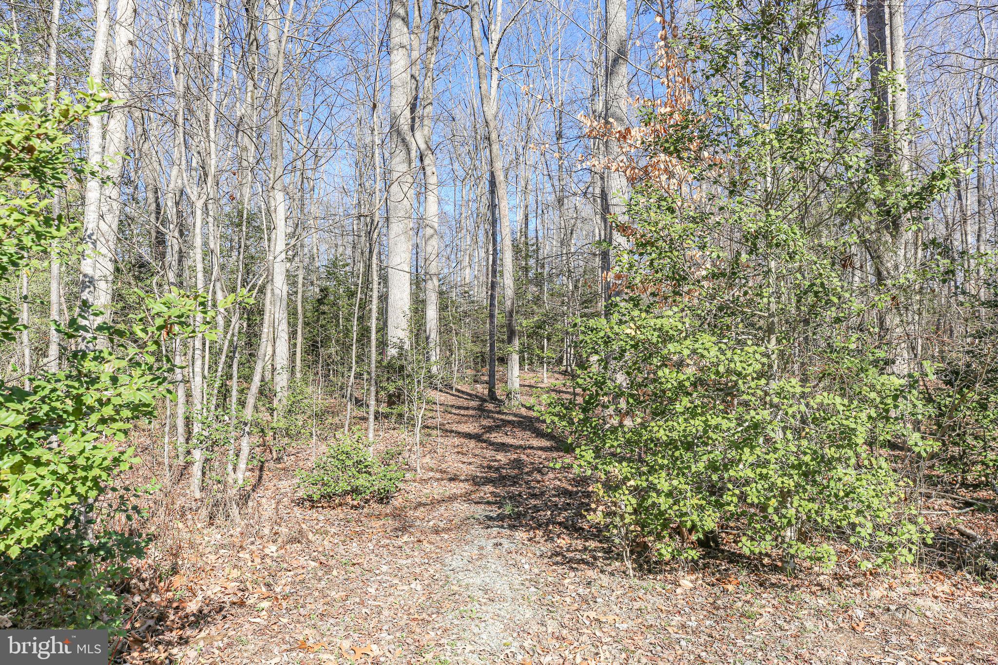 120 Joshua Road Stafford, VA 22556 - Photo 84 of 109
