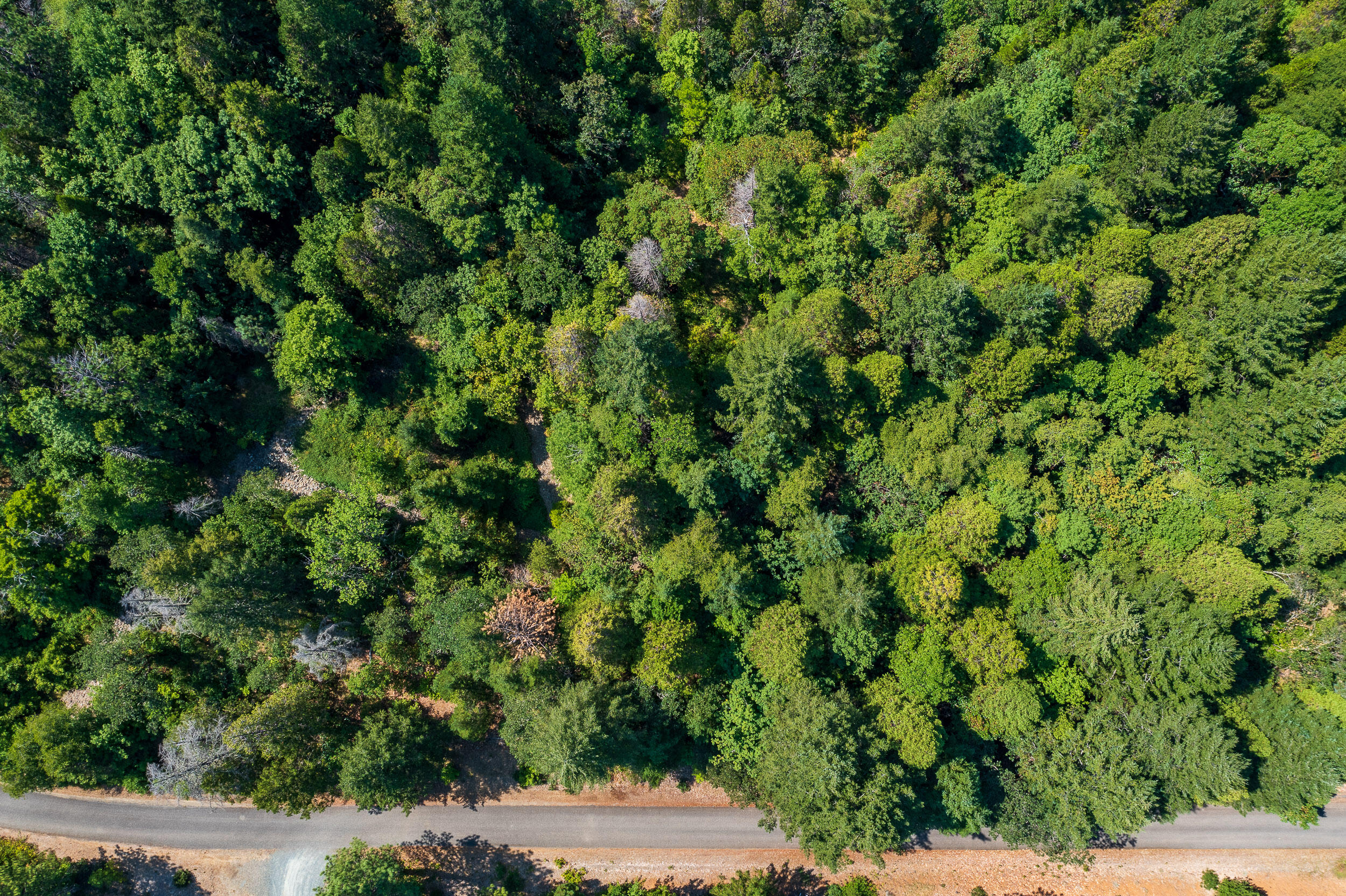 8595 Deer Creek Road Selma, OR 97538 - Photo 16 of 17 8595DeerCreekRd-014