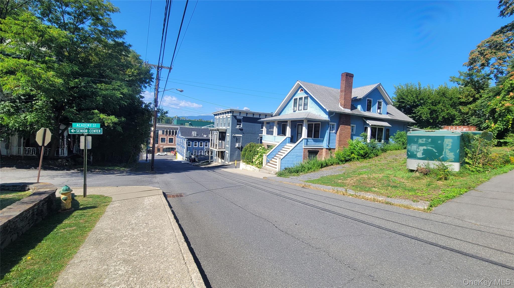 15 Thompson Street Catskill, NY 12414 - Photo 2 of 5 a front view of a house with a yard and potted plants