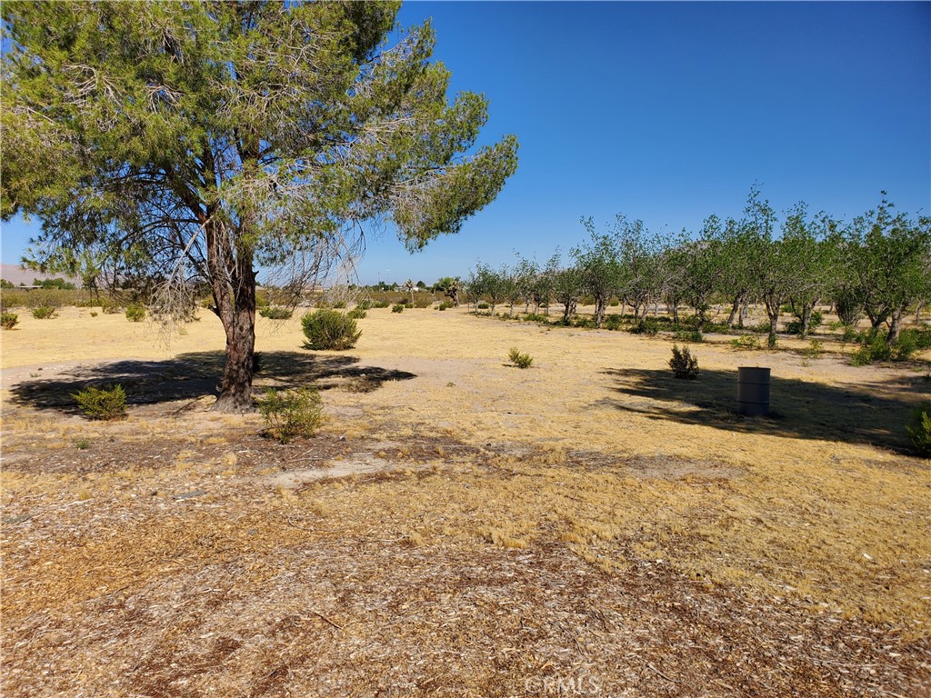 9870 Cody Road Lucerne Valley, CA 92356 - Photo 13 of 37