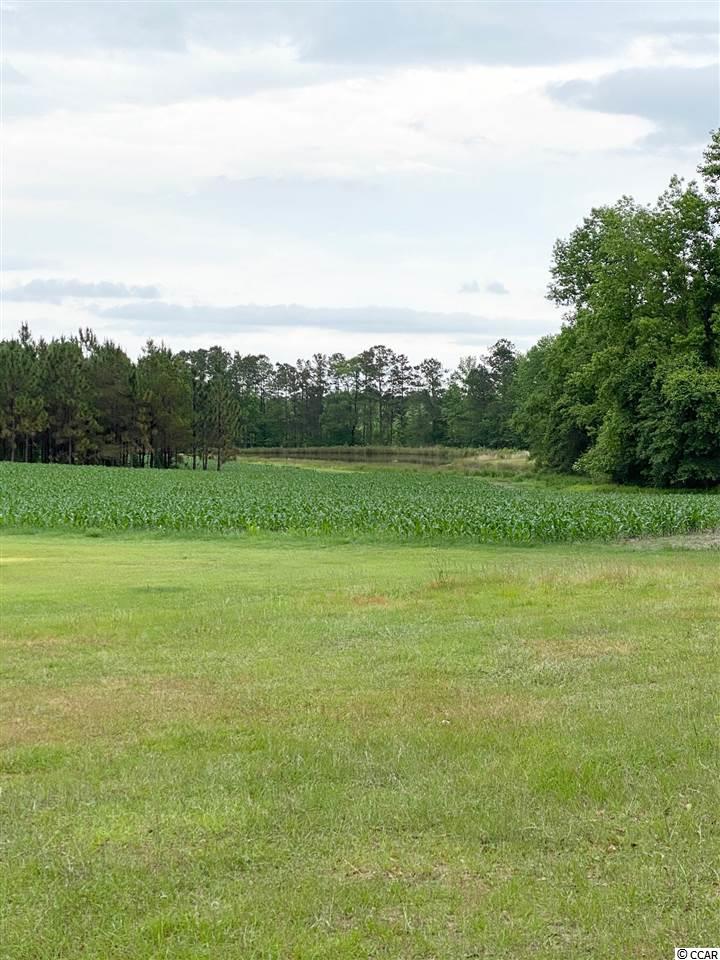 3242 Lake Pond Road Loris, SC 29569 - Photo 11 of 11 Gallery Image 11
