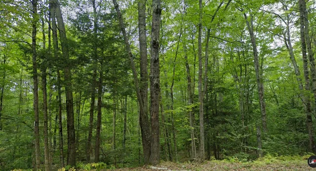 $228,000 | 82 Ledge Hill Road, Unit 1, Tuftonboro, NH 03816