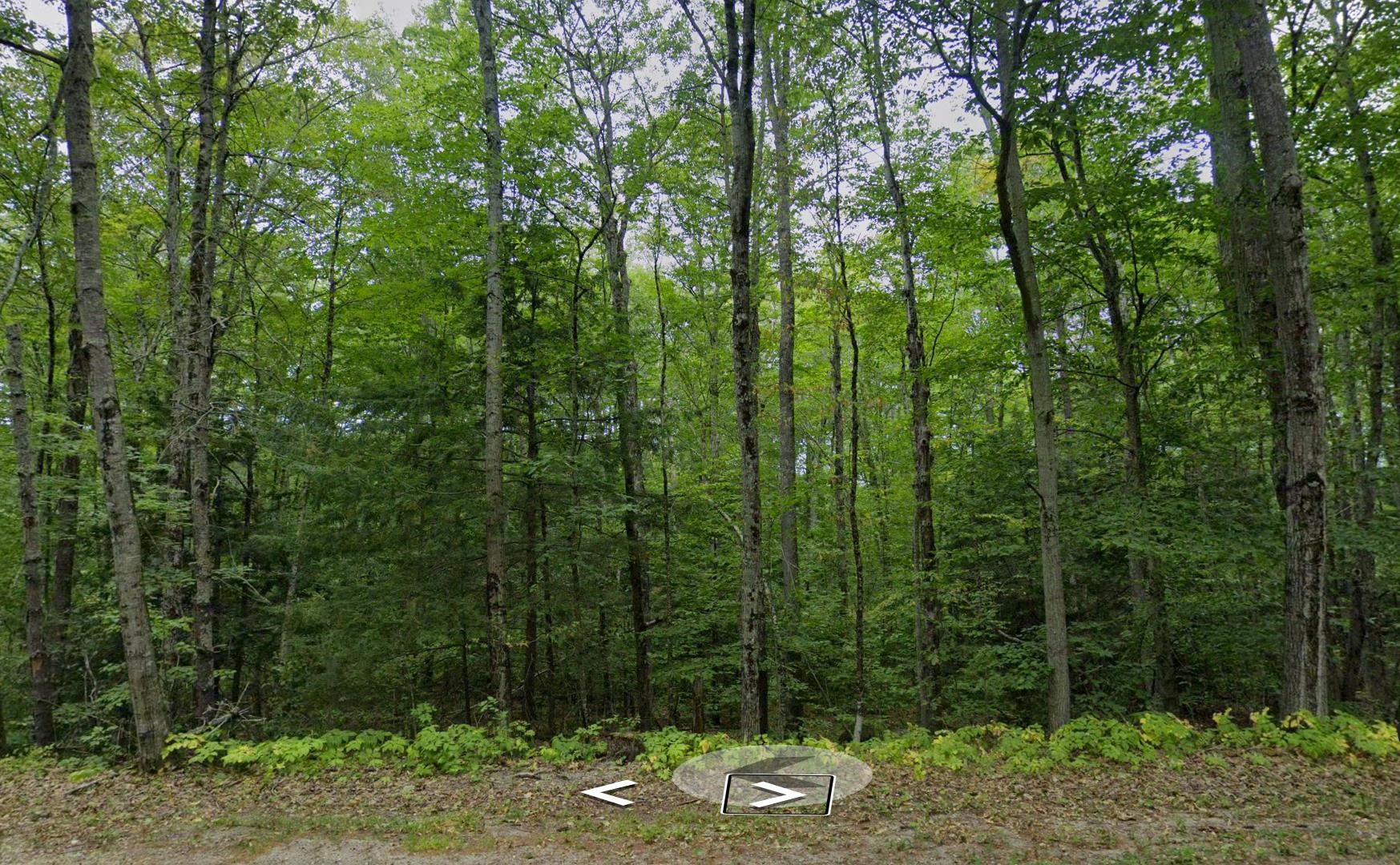 82 Ledge Hill Road, Unit 1 Tuftonboro, NH 03816 - Photo 22 of 25