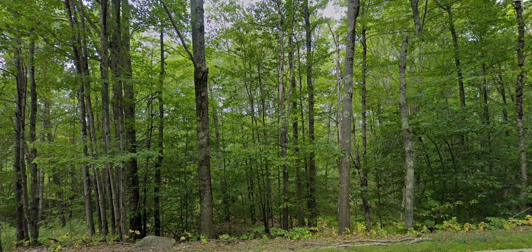 82 Ledge Hill Road, Unit 1 Tuftonboro, NH 03816 - Photo 4 of 10