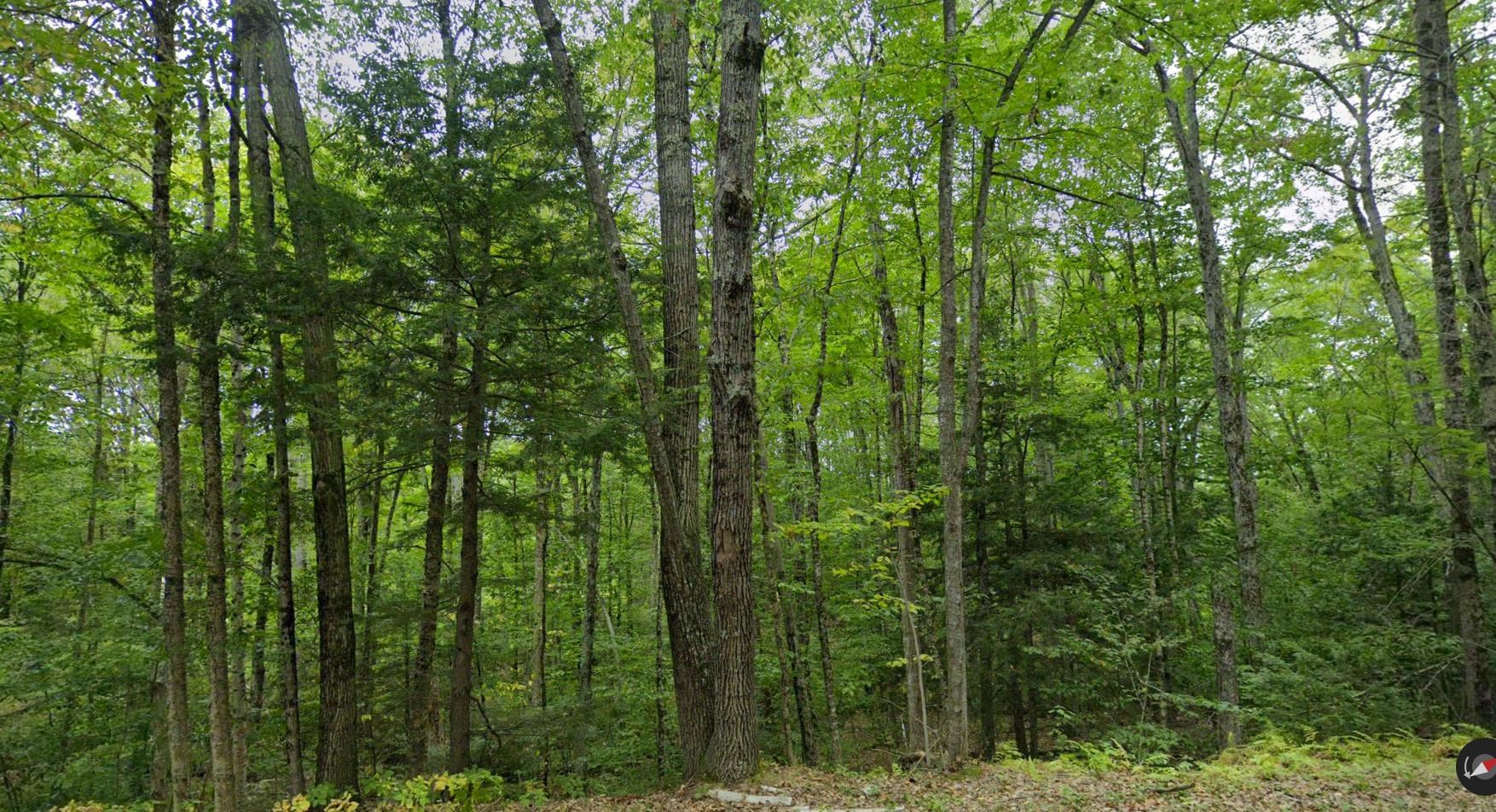 82 Ledge Hill Road, Unit 1 Tuftonboro, NH 03816 - Photo 9 of 10