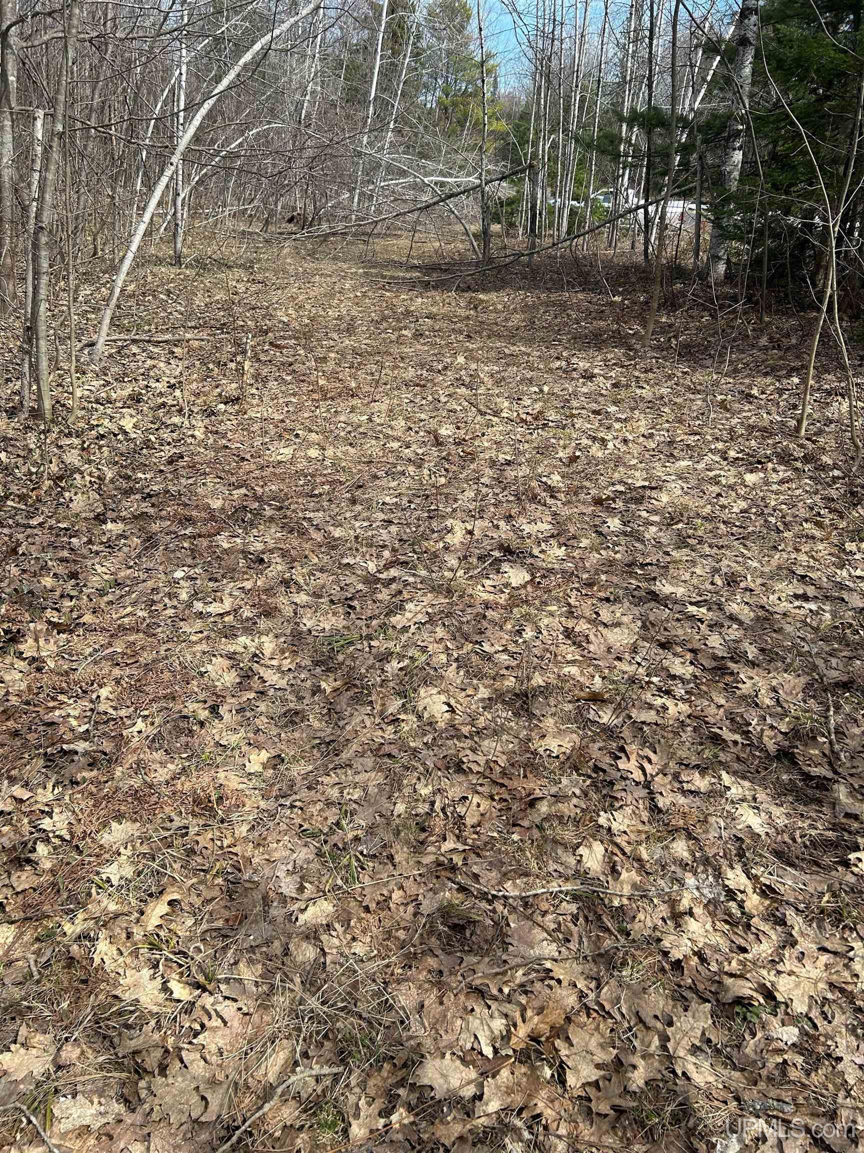 4-10 Firesteel Road Ontonagon, MI 49953 - Photo 15 of 28