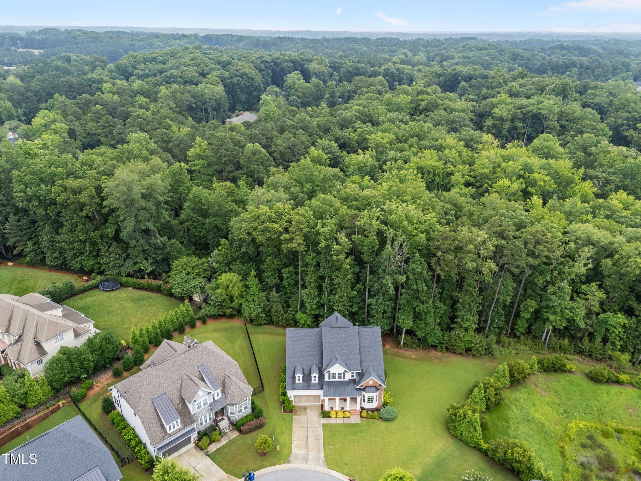 7502 Latteri Court Raleigh, NC 27613 - Photo 44 of 60 58-web-or-mls-DJI_20250616091349_0852_D