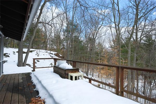 101 Woodridge Road Wayland, MA 01778 - Photo 17 of 19 Gallery Image 17
