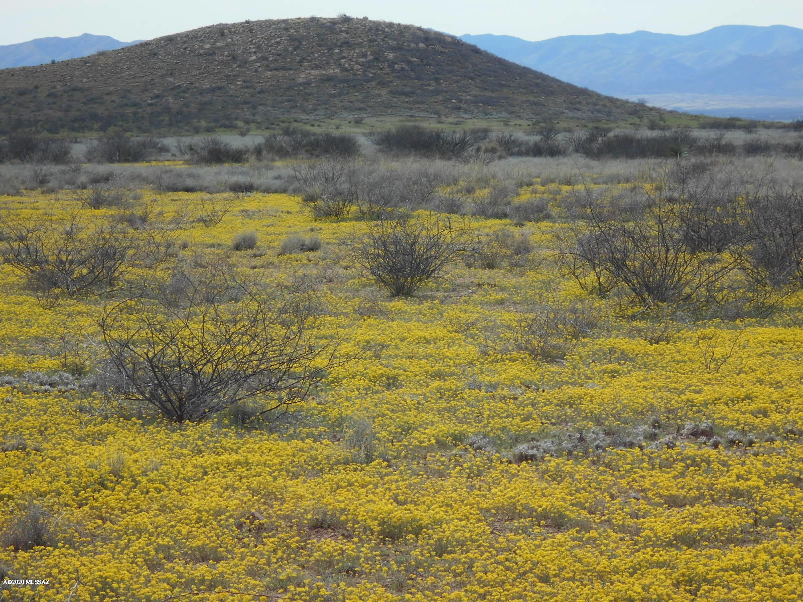 Tbd Double Ranch East McNeal, AZ 85617 - Photo 1 of 24 Gallery Image 1