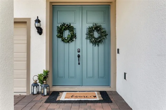 a view of a door with a potted plant