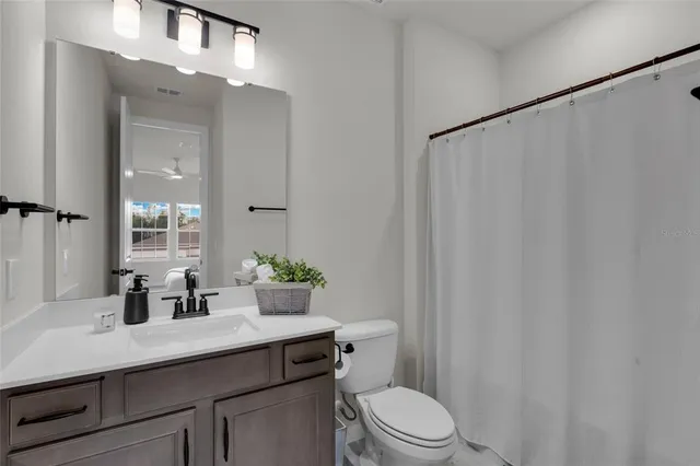 a bathroom with a sink a toilet a mirror and shower curtain