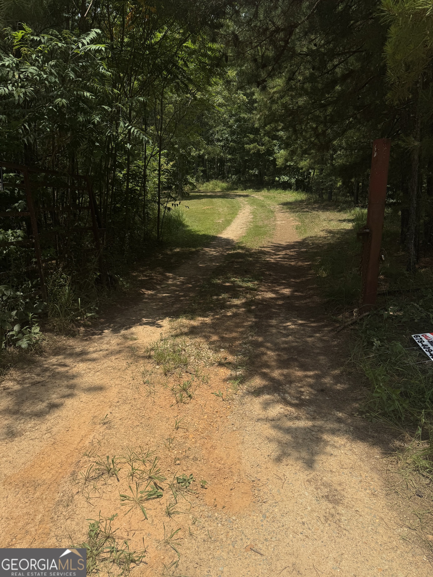 0 Co Rd 61 Fruithurst, AL 36262 - Photo 4 of 6